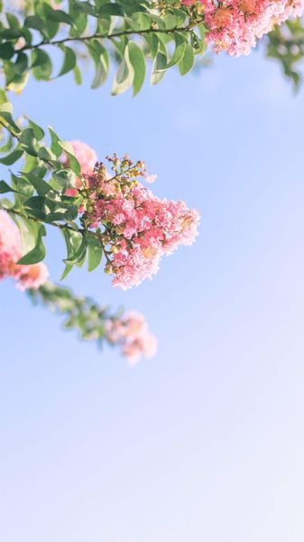 躁郁症的表现有哪些：你需要知道的几个关键点