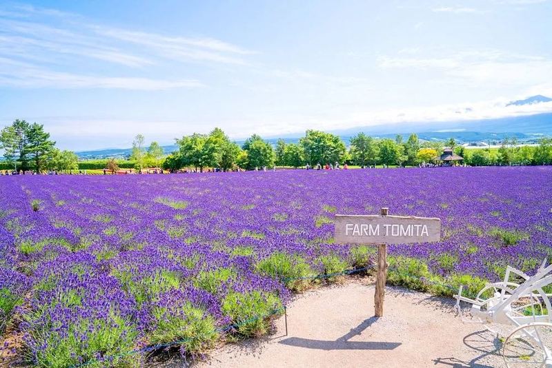 关于合群好还是不合群好，一个真实故事改变了我的看法