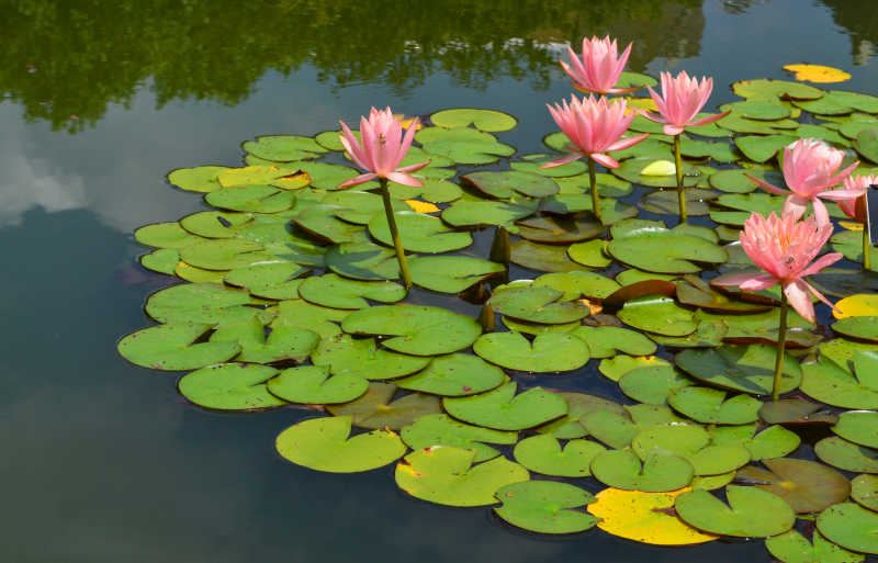 亲密相处：读什么书可以提升自己：一个过来人的血泪教训