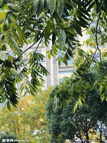 音乐疗法有科学依据吗？先搞清楚这3个问题再做决定