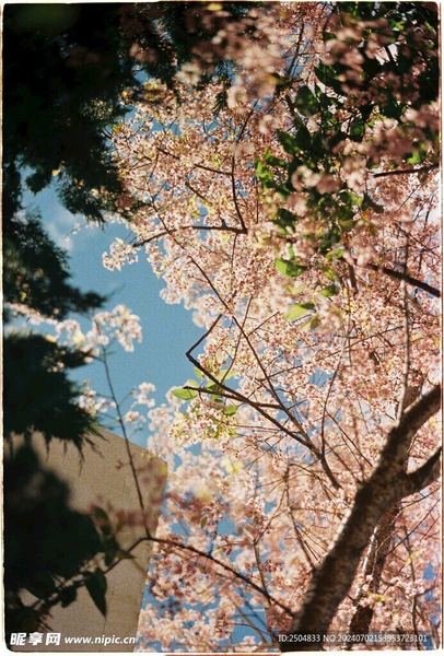 精神内耗严重怎么办自救手册：从今天开始改变