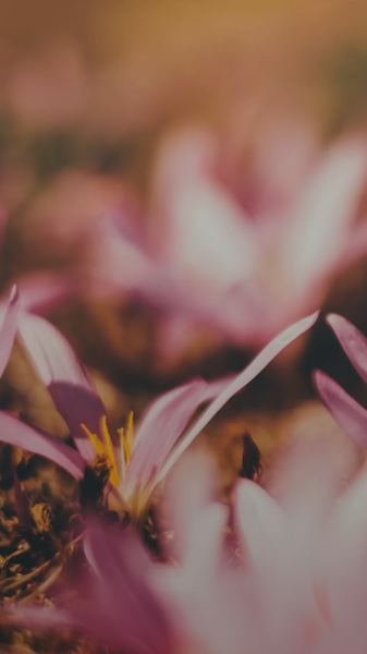 怎么调节生物钟？过来人告诉你真正有用的方法