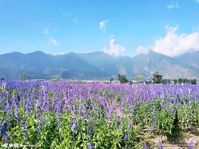 睡眠心理：更年期情绪波动怎么办全面解析：原因+方法+避坑指南