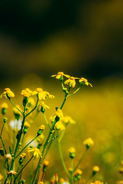 人生迷茫不知道做什么？先搞清楚这3个问题再做决定