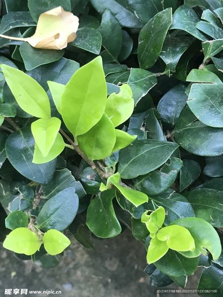 女生说忙是在拒绝你吗：一个过来人的血泪教训