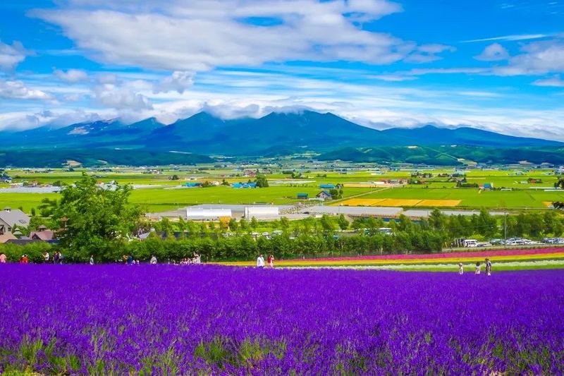 天秤座为什么纠结？这篇文章帮你理清思路