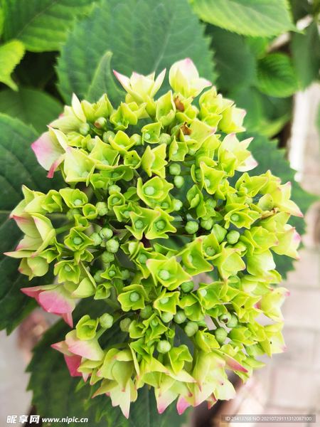 工作越来越没动力，你可能正在经历'职业倦怠' —— 中年自救必读