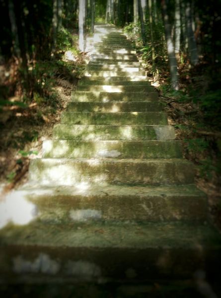 男生说随便是什么意思？过来人告诉你真正有用的方法 —— 两性心理必读