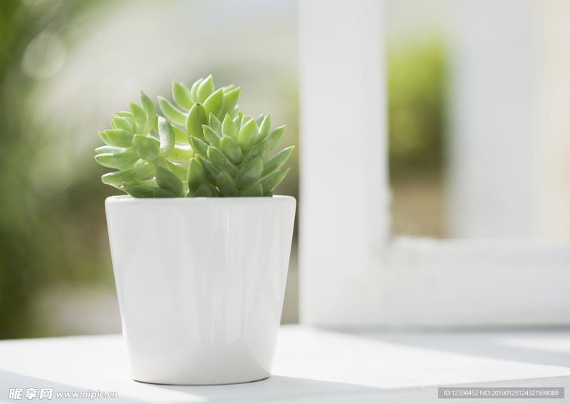 怎么提高社交能力：写给每一个正在经历的你