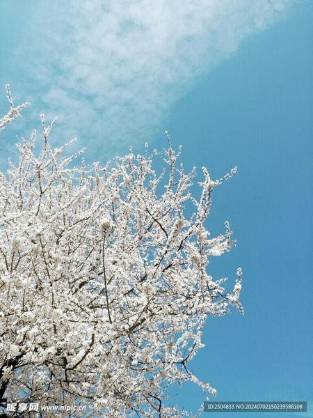 更年期焦虑怎么调理？很多人都忽略了这一点