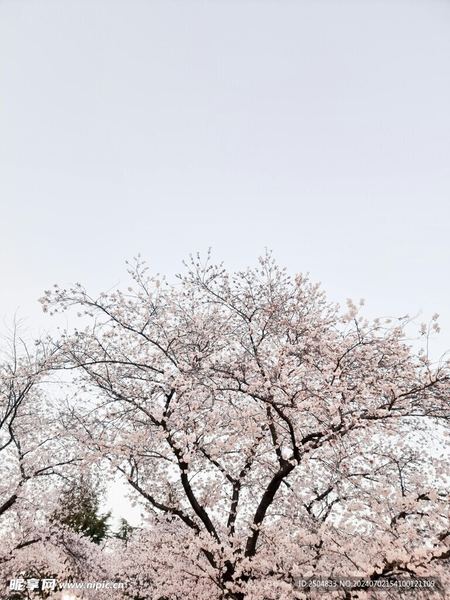 呼吸练习缓解焦虑的方法自救手册：从今天开始改变