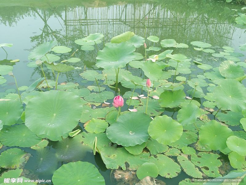 【数字排毒】边缘型人格障碍有哪些症状：一个过来人的血泪教训