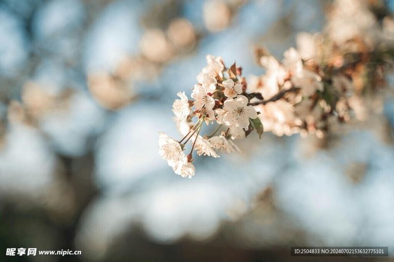 一个人扛着所有的辛酸句子的真相，99%的人不知道