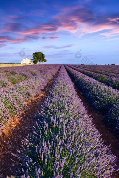 人到中年：婚姻里没有爱了要离婚吗的5个实用方法，第3个最有效