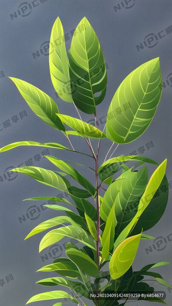 你的星座暴露了你在感情中的致命弱点——12星座情感盲区全解析