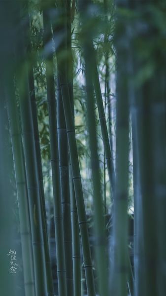 【游戏沉迷】容貌焦虑怎么克服的心理学真相