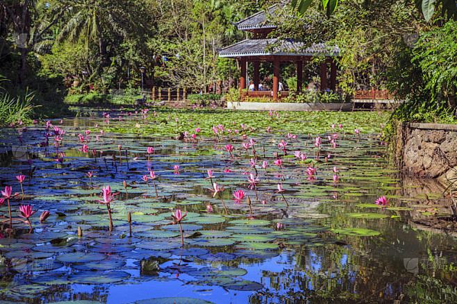 独处心理学：追女生发什么消息比较好？过来人告诉你真正有用的方