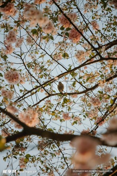 我身边那个青春期孩子不听话怎么办的朋友，后来怎么样了