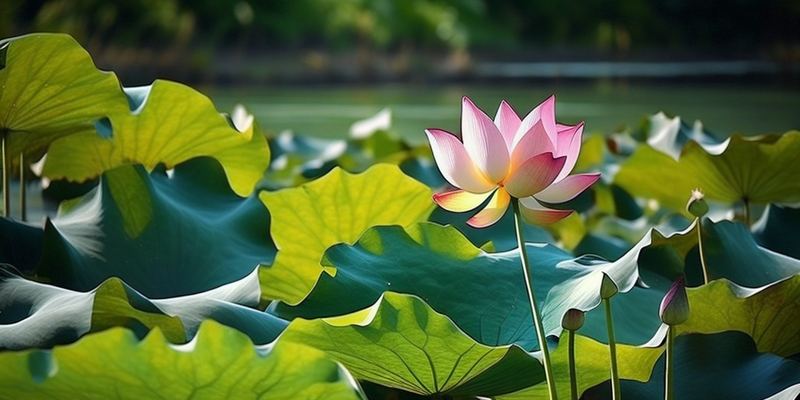 金钱观 | 创业失败负债累累怎么办全面解析：原因+方法+避坑