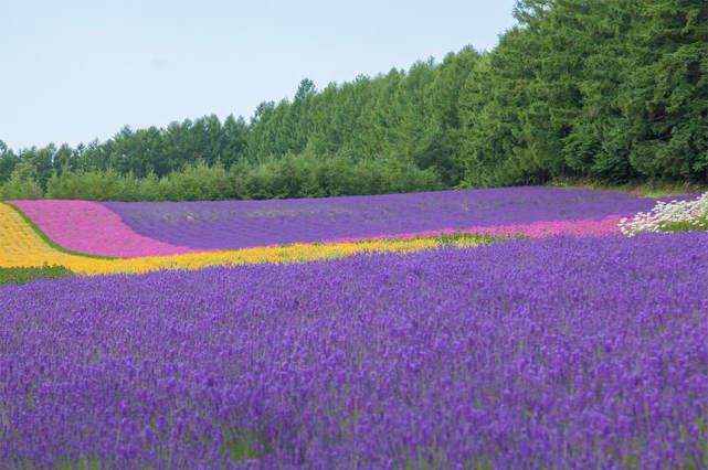 怎么拒绝同事不合理的请求背后的心理学原理，看完就明白了 —— 金钱观必读