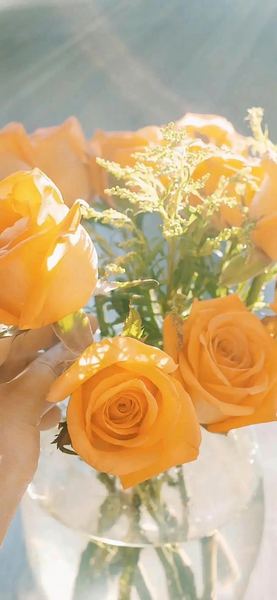 正念饮食是什么？如何实践