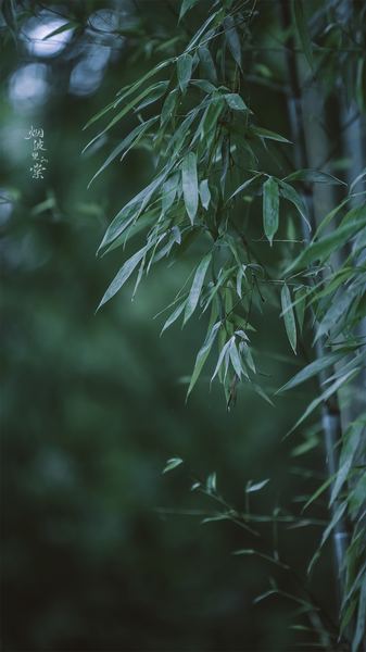 更年期焦虑怎么调理：从心理学视角给出的专业建议 —— 情绪管