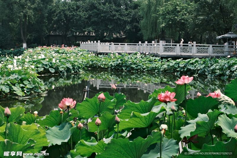 怎么交到真心朋友：一个过来人的血泪教训