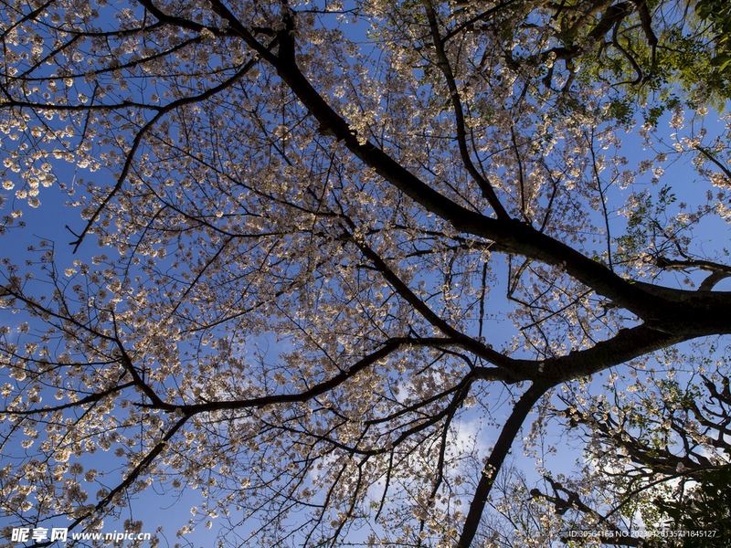 恋爱倦怠期怎么度过？资深心理师总结的7条建议