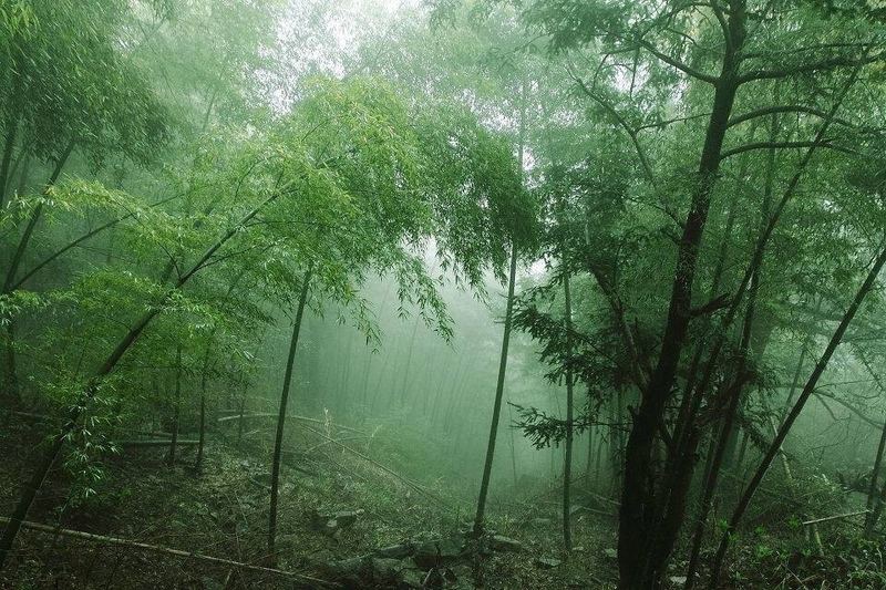 嫁错人了怎么办的亲身经历：从崩溃到释然，我用了三个月