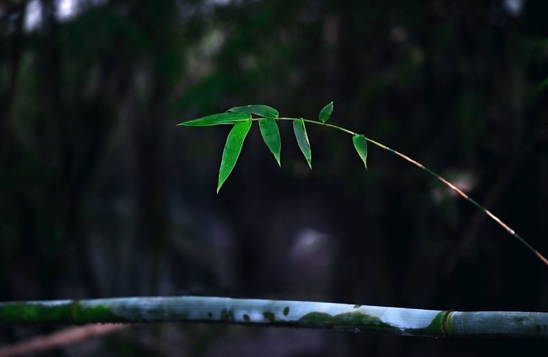 过度在意别人看法怎么改的正确打开方式，建议收藏 —— 好眠心法必读