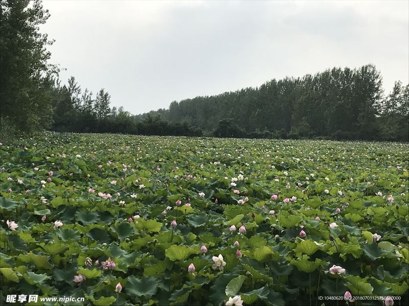 瑜伽对心理健康有什么好处的正确打开方式，建议收藏