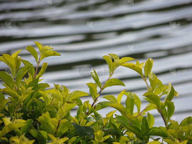 恋爱中应该AA还是男生买单的正确打开方式，建议收藏