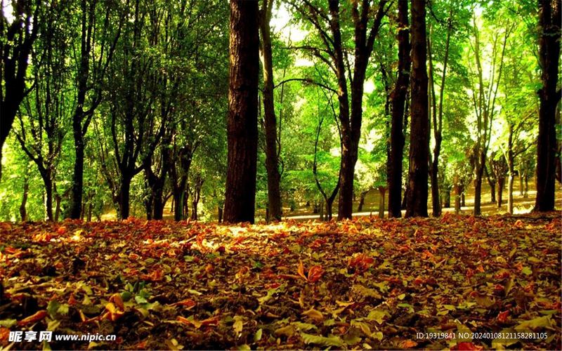 微笑抑郁症是什么：从心理学视角给出的专业建议