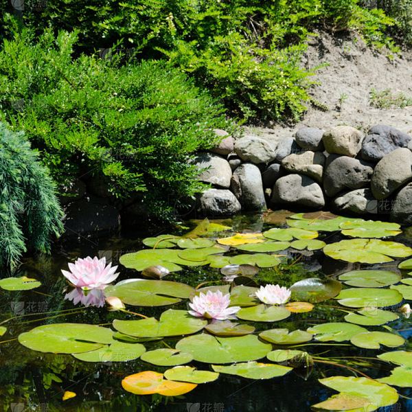 【高效人生】怎么拒绝同事不合理的请求？心理专家一针见血的分析