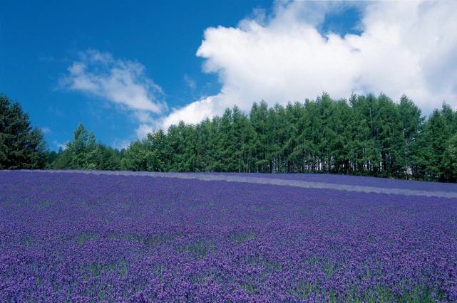 网恋靠谱吗：写给每一个正在经历的你