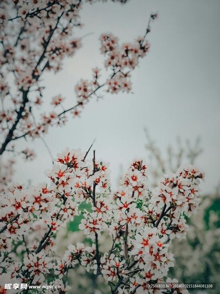 金牛座女生怎么追？过来人告诉你真正有用的方法