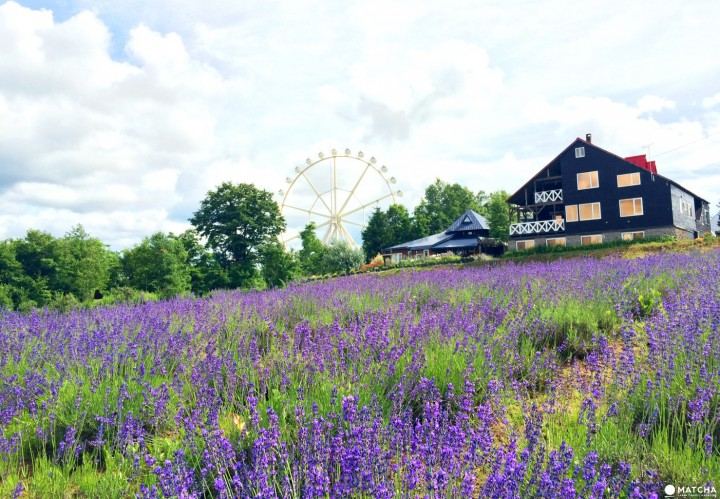 老好人怎么变强势？心理学家推荐的4步自救指南