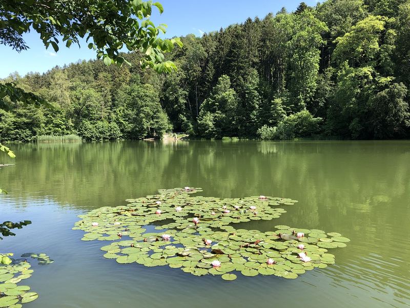 职场被孤立怎么破局？先搞清楚这3个问题再做决定