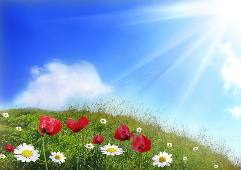 实习生被安排做杂活？别急着下结论，先看完这篇