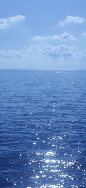 那些无法说出口的感情最终去了哪里