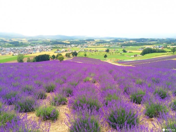 朋友借钱不还怎么办的真实案例，值得每个人看看