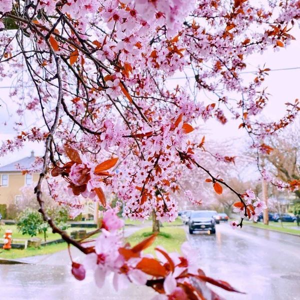 裸辞后很焦虑怎么办：看懂这篇你就释然了