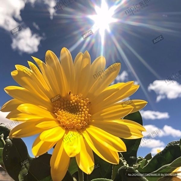 独处的人是什么性格的正确打开方式，建议收藏