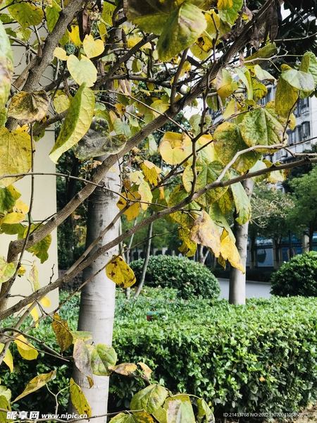 人际关系差是什么原因：你需要知道的几个关键点 —— 孤独与自我必读