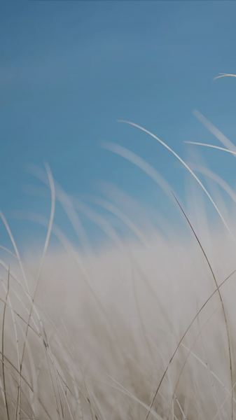 对象总是跟异性聊天怎么办的真实案例，值得每个人看看