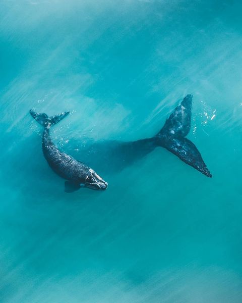 怎么调节生物钟？看完这篇你会豁然开朗